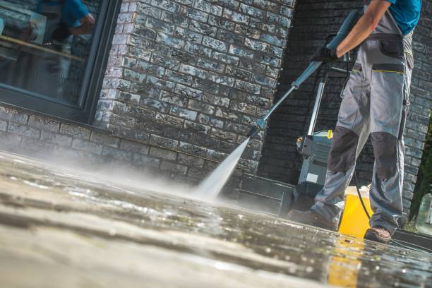 Best Roof Washing  in Bogata, TX